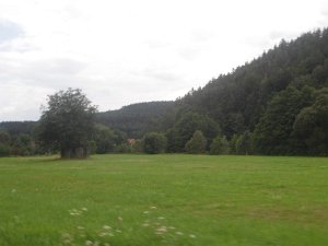 Frankenwald 2010 027